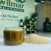crude rice bran oil